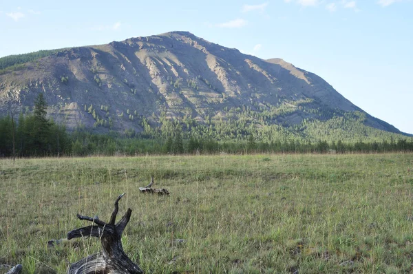 Gröna Ängar Berget Dalen Floden Suntar Ryssland Jakutien Suntar Khayata — Stockfoto