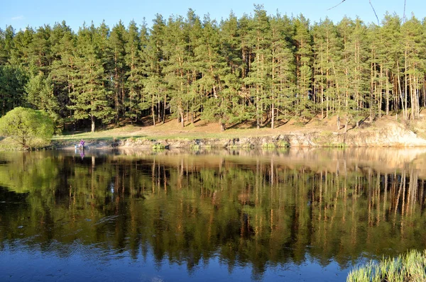 Parque Nacional Meshchera Región Ryazan Río Pra Rusia Bosque Pinos — Foto de Stock