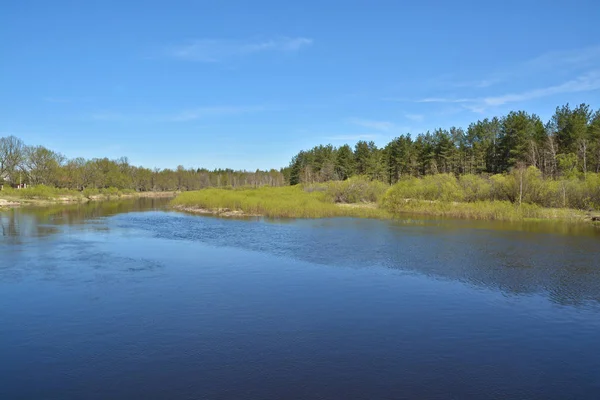 Maggio Sul Fiume Foresta Paesaggio Fluviale Primaverile Nel Parco Nazionale — Foto Stock