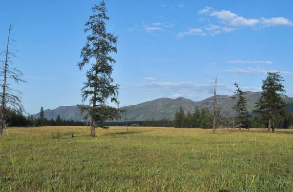 Padang Rumput Hijau Lembah Pegunungan Sungai Suntar Rusia Yakutia Sebuah — Stok Foto