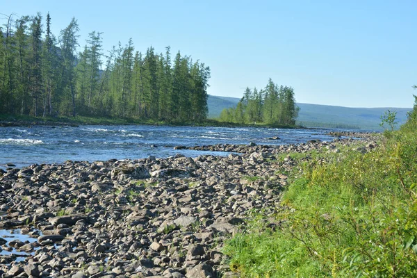Taiga Floden Den Putorana Platån Sommar Vatten Landskap Norra Sibirien — Stockfoto