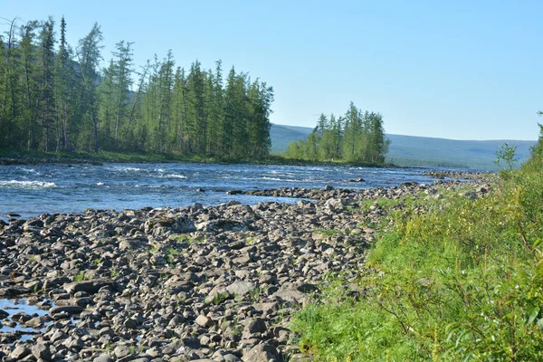 Fiume Taiga Sull Altopiano Putorana Paesaggio Acquatico Estivo Nella Siberia — Foto Stock