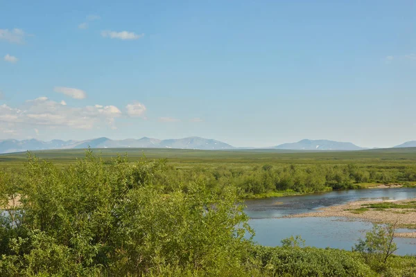 Tundra kutup Urallar ve ana Ural aralığı içinde. Rusya'da yaz Kuzey manzara.