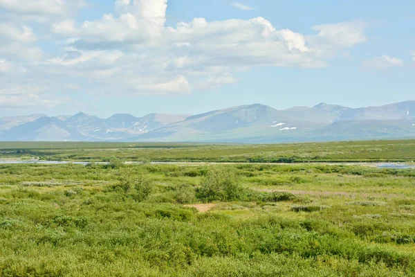 Tundra Den Polaren Uralen Und Haupturalbereich Sommer Nördliche Landschaft Russland — Stockfoto