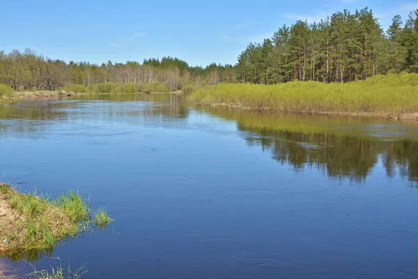 Maj Morgon Vid Floden Skog Våren Flodlandskap Nationalpark Centrala Ryssland — Stockfoto