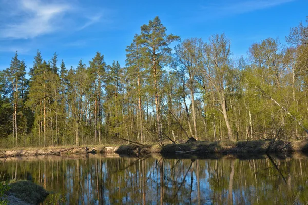 May Day Rivier Lente Rivierlandschap Het Nationaal Park Van Centraal — Stockfoto
