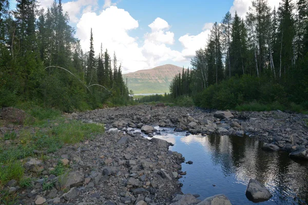 Mountain stream on the Putorana plateau. Landscape with a stream in a mountain gorge in Northern Siberia.