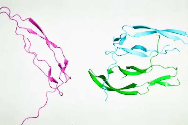 蛋白质组学领域的研究 生物大分子研究的新技术 — 图库照片