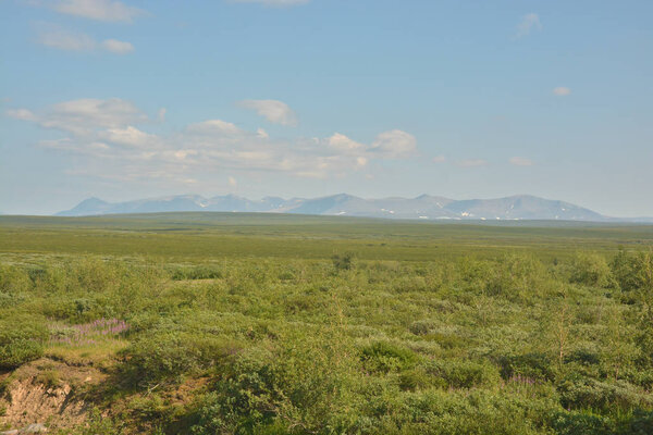 Tundra in the Polar Urals and the Main Ural Range. Summer northern landscape in Russia.