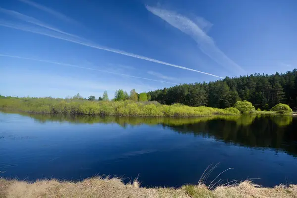 Venäjän Kansallispuiston Metsäjoki Kevät Vesilähde Maisema Puita — kuvapankkivalokuva