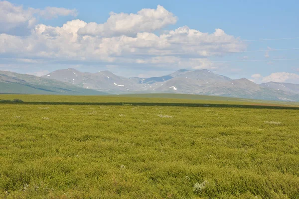 Tundra kutup Urallar ve ana Ural aralığı içinde. Rusya'da yaz Kuzey manzara.
