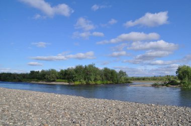 Nehir manzara polar Urallarda. Çakıllı sahile Kuzey Nehri Kokpela, Komi Cumhuriyeti, Rusya'nın.