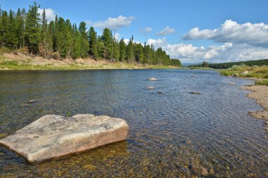 Dağ Tayga Kuzey Uralların nehirde. UNESCO Dünya Mirası Site Virgin Komi ormanlar.