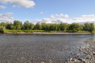 Vahşi nehir manzara. Kutup Ural, Komi Cumhuriyeti, Rusya'nın Kuzey Nehri Kokpela çakıllı kıyısında.
