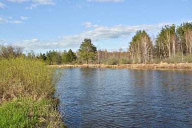 Güneşli gün bahar River. Bahar manzara, nehirde Milli Parkı 