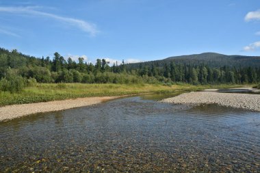 Nehir Shchugor dağ Tayga Kuzey Uralların içinde. Milli Park Yugyd-Va, Unesco Dünya Mirası Site Virgin Komi ormanlar.
