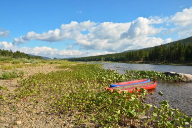 Nehri üzerinde tekne gezisi. Milli Park Yugid-Va, Unesco Dünya Mirası site Virgin Komi ormanlar.