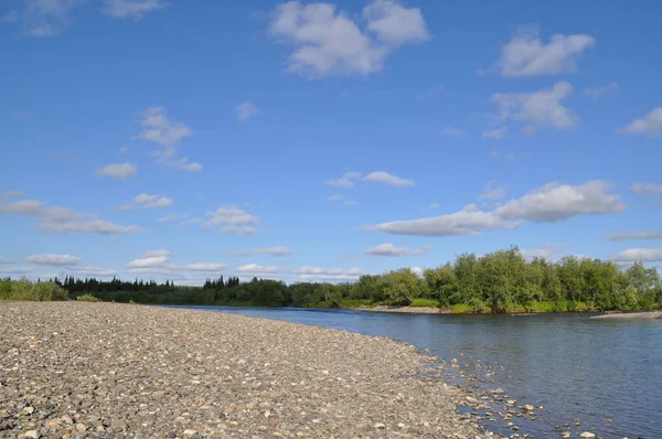 Flusslandschaft Polaren Ural Das Kiesige Ufer Des Nördlichen Flusses Kokpela — Stockfoto