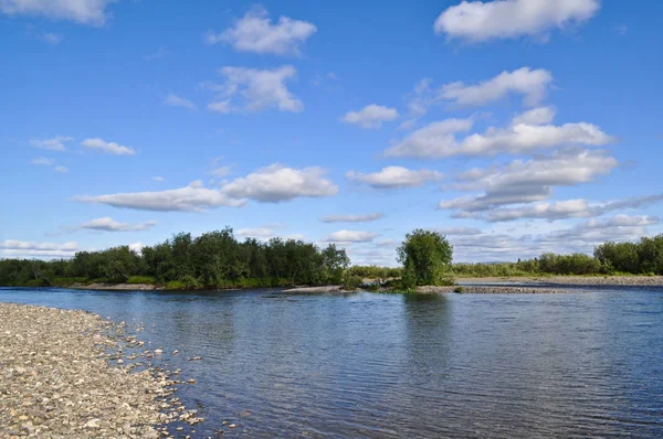 Flodlandskap Polar Ural Den Steniga Stranden North River Kokpela Republik — Stockfoto