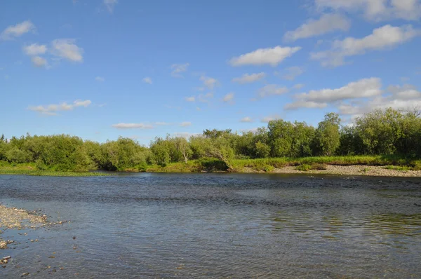 Vahşi nehir manzara. Kutup Ural, Komi Cumhuriyeti, Rusya'nın Kuzey Nehri Kokpela çakıllı kıyısında.