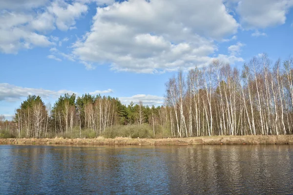 Güneşli gün bahar River. Bahar manzara, nehirde Milli Parkı 