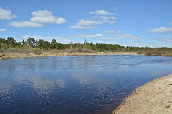 Sunny Day Spring River Spring Landscape River National Park Meschera — Stock Photo, Image