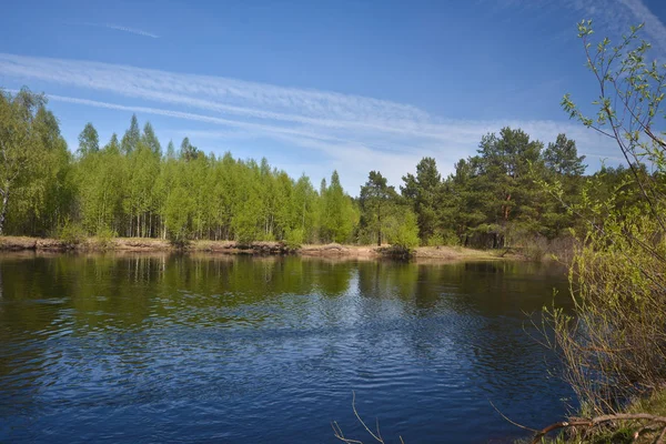 Lente Bosrivier Mei Landschap Het Nationale Park Van Midden Rusland — Stockfoto