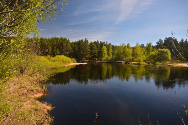 Lente Bosrivier Mei Landschap Het Nationale Park Van Midden Rusland — Stockfoto