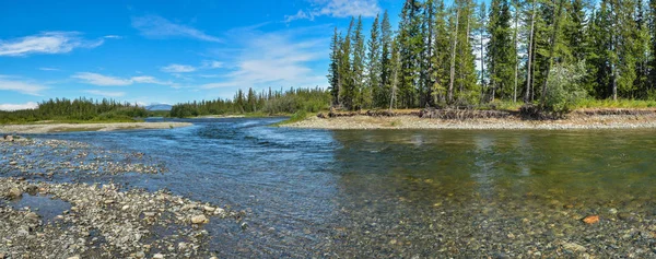 Kuzey Nehri Panoraması. Yaz su manzara Polar Urallarda.