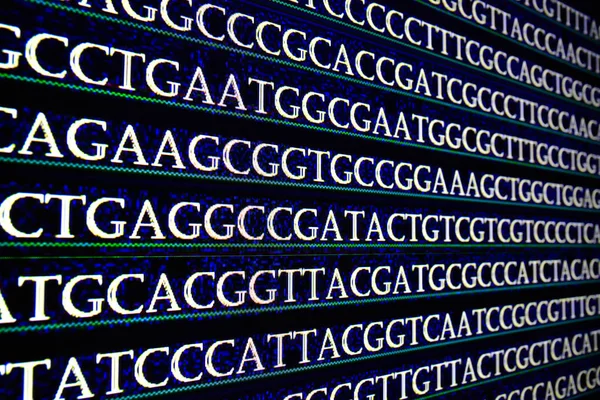 Dna 핵산에 뉴클레오타이드 염기들의 서열을 나타내는 — 스톡 사진