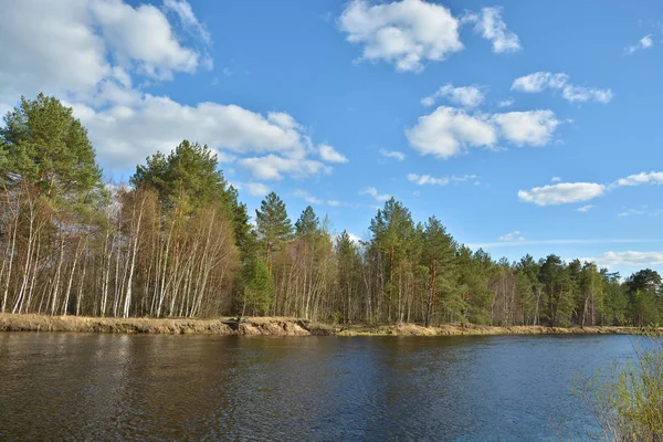 Sunny day at the spring river. Spring landscape, river in the national Park 