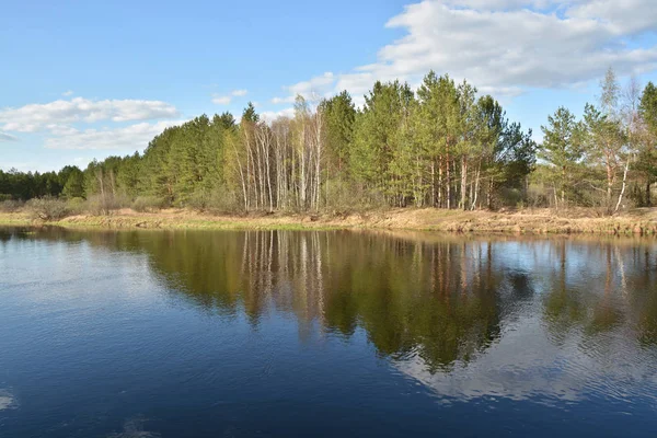 Paisagem Primavera Rio Parque Nacional Meschera Ryazan Oblast Rússia — Fotografia de Stock