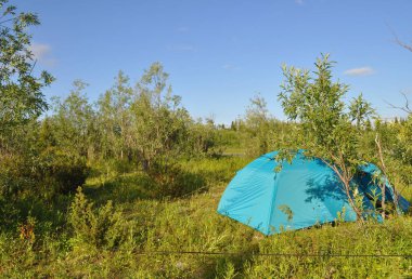 Bahçede kamp çadırı. 