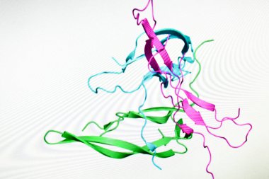 Araştırmada proteomik.