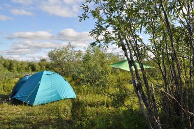 Bahçede kamp çadırı. 