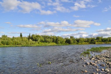 Kutup Urallar. Çakıl nehir bankalar. 