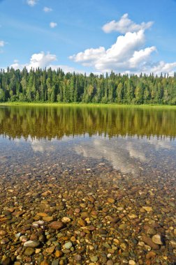 Orman Tayga Nehri üzerinde. 