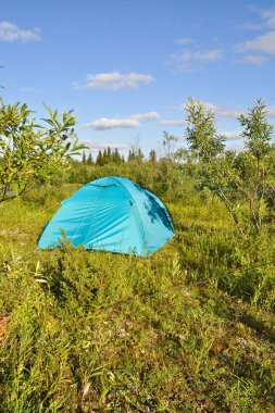 Bahçede kamp çadırı. 