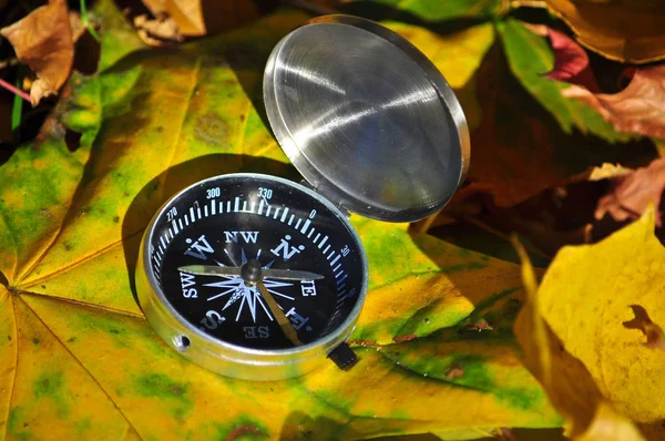 Kompass i nedfallna löv. — Stockfoto