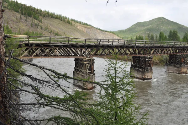 Wooden bridge in Yakutia across the mountain river. — Stock Photo, Image