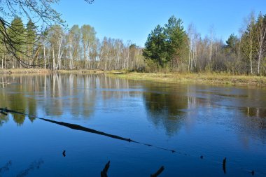 nehir manzara bahar. 