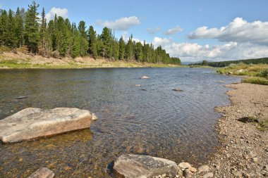 Urallarda Tayga Nehri'nin yaz manzara.