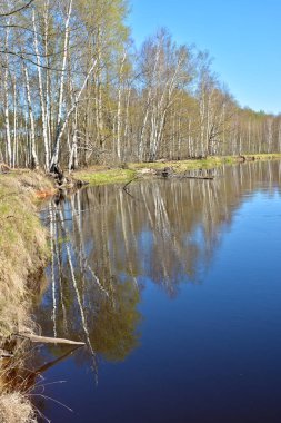 Bahar nehri manzarası. 