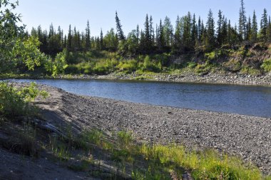 Coast Kuzey nehirler.