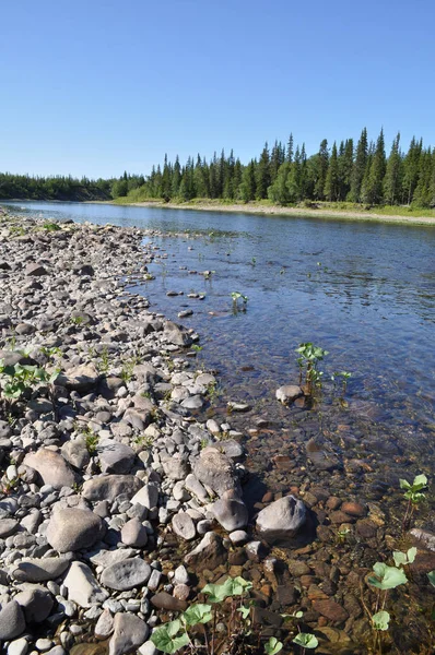 Kiezels op de oevers van rivier de Oeral taiga. — Stockfoto