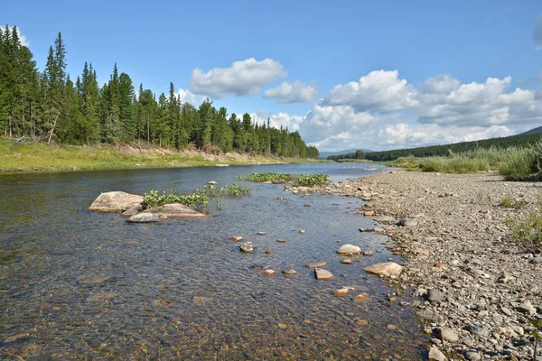 Sommarlandskap taiga floden i Ural. — Stockfoto