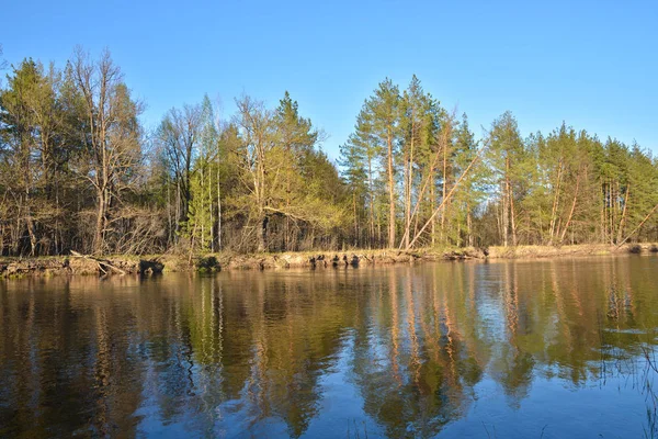 Paisaje fluvial en primavera . — Foto de Stock