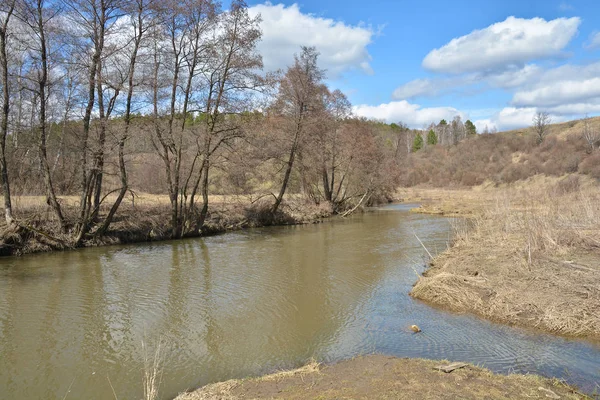 Floden tidigt på våren. — Stockfoto