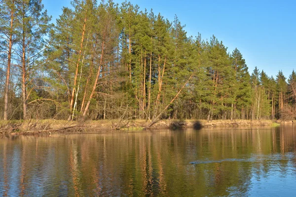 Rivierlandschap in het voorjaar van. — Stockfoto