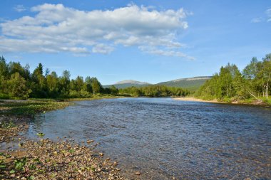 Tayga Nehri Kuzey Urallarda. 